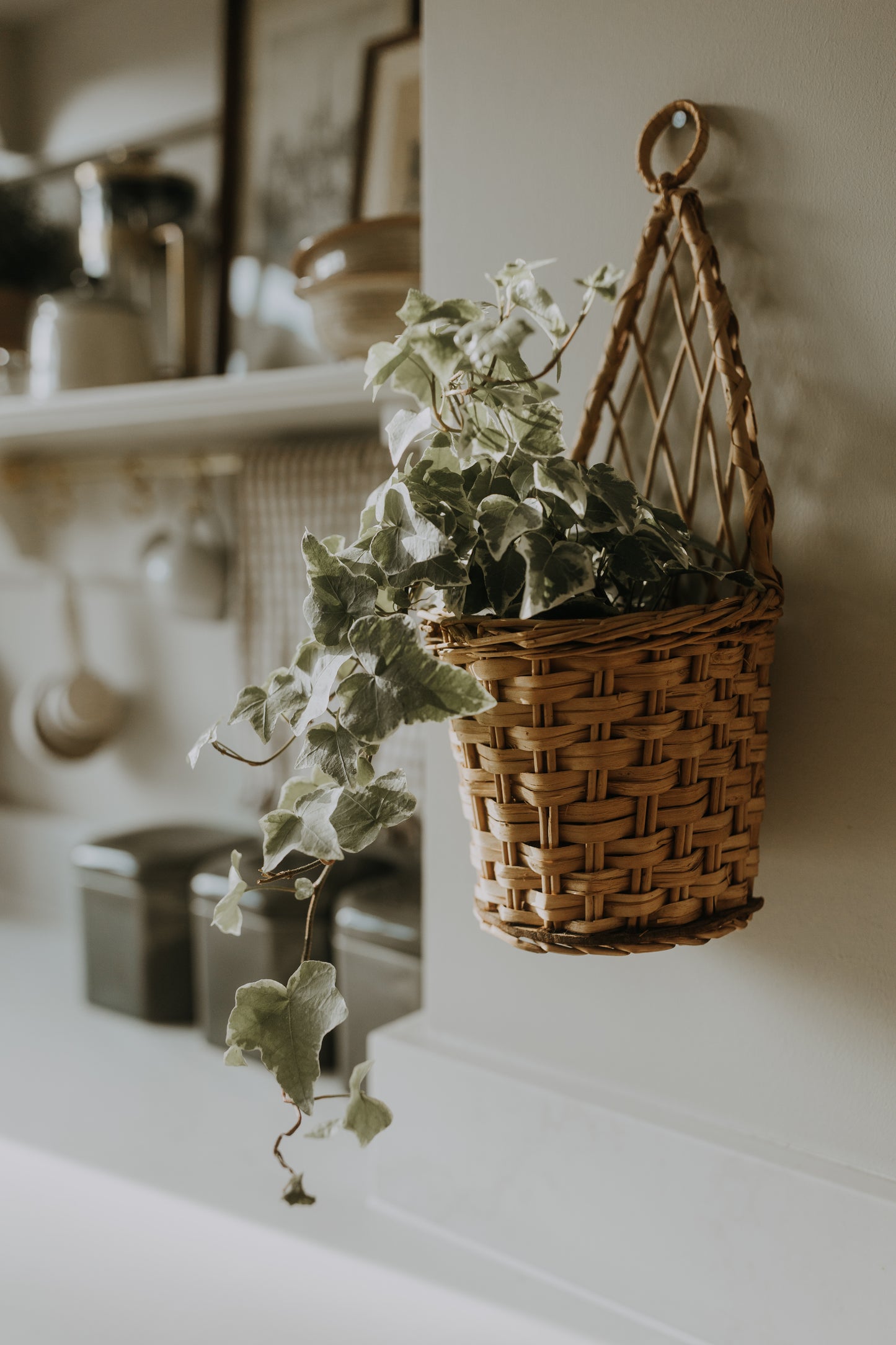 Vintage Wall Hung Wicker Planter