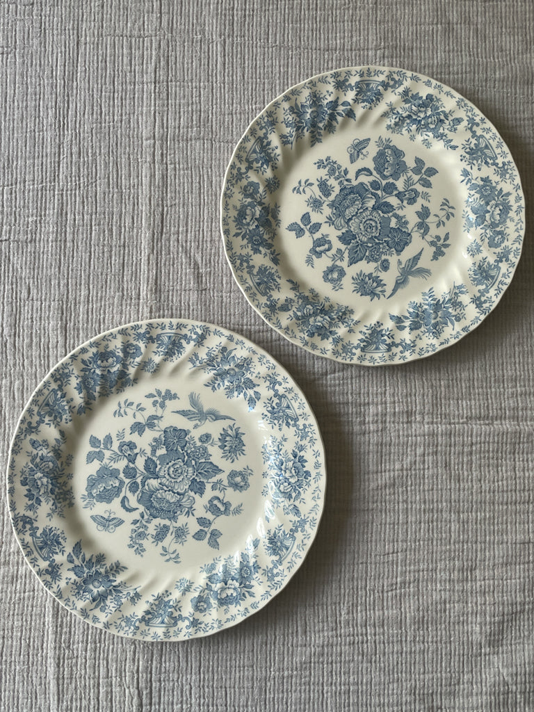 Vintage English Blue and White Floral Plates