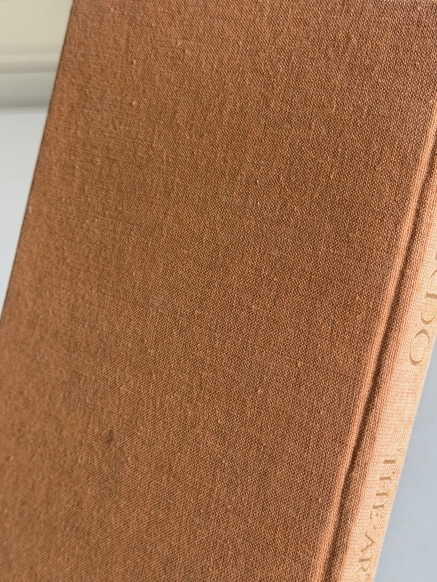 Leonardo The Artist Book