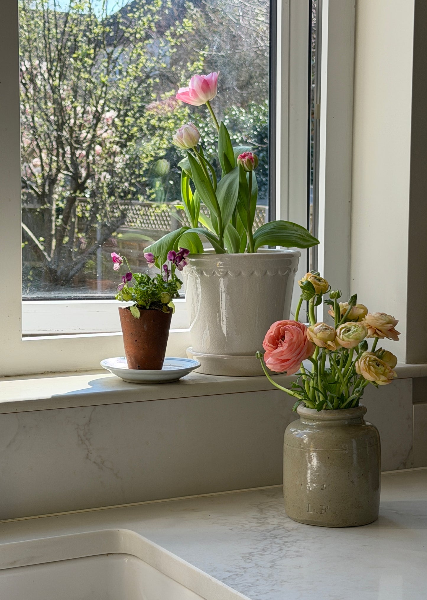 Medium Mustard Pot - Greeny-Grey