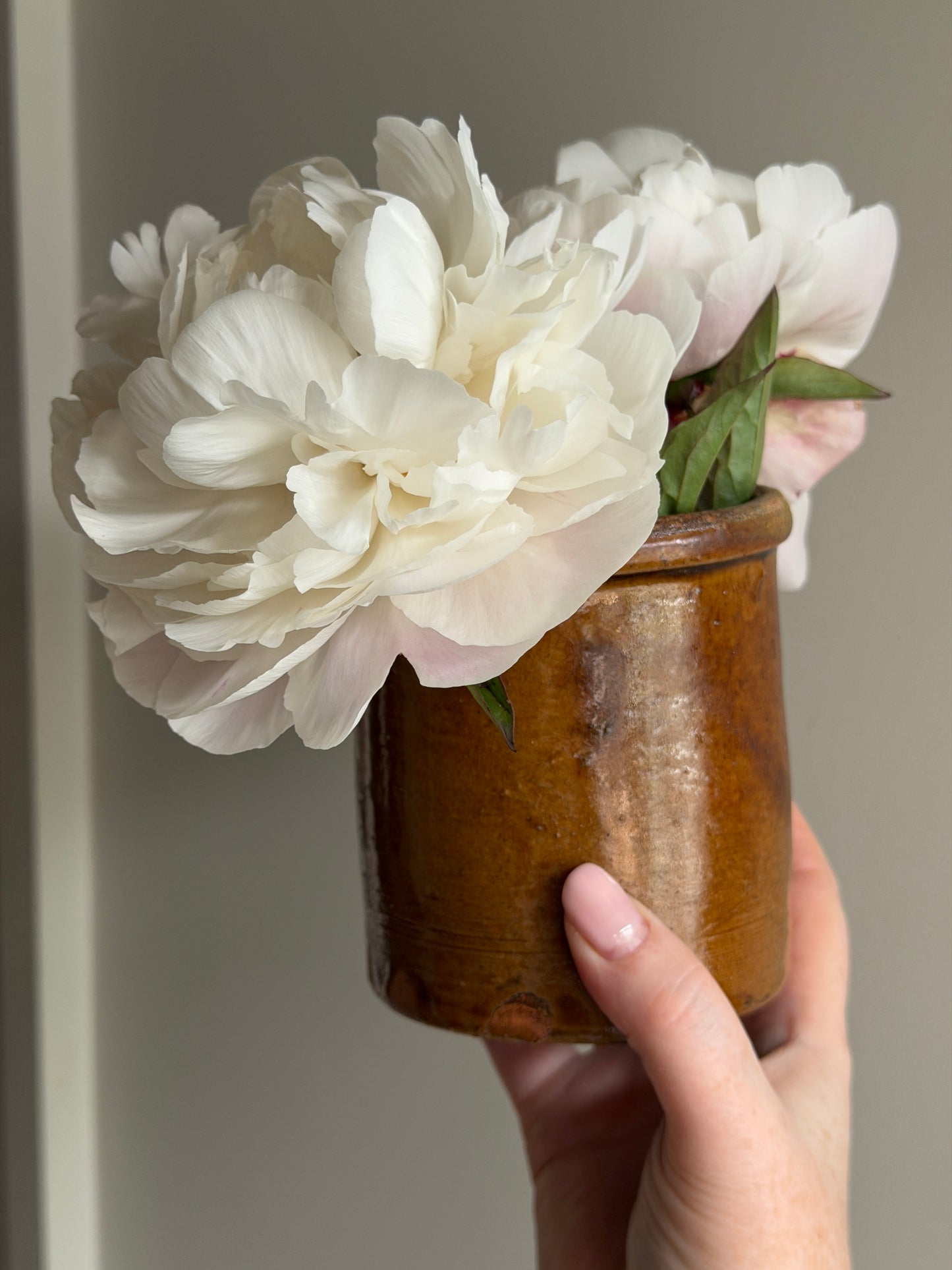 Olive - Amber Stoneware Pot