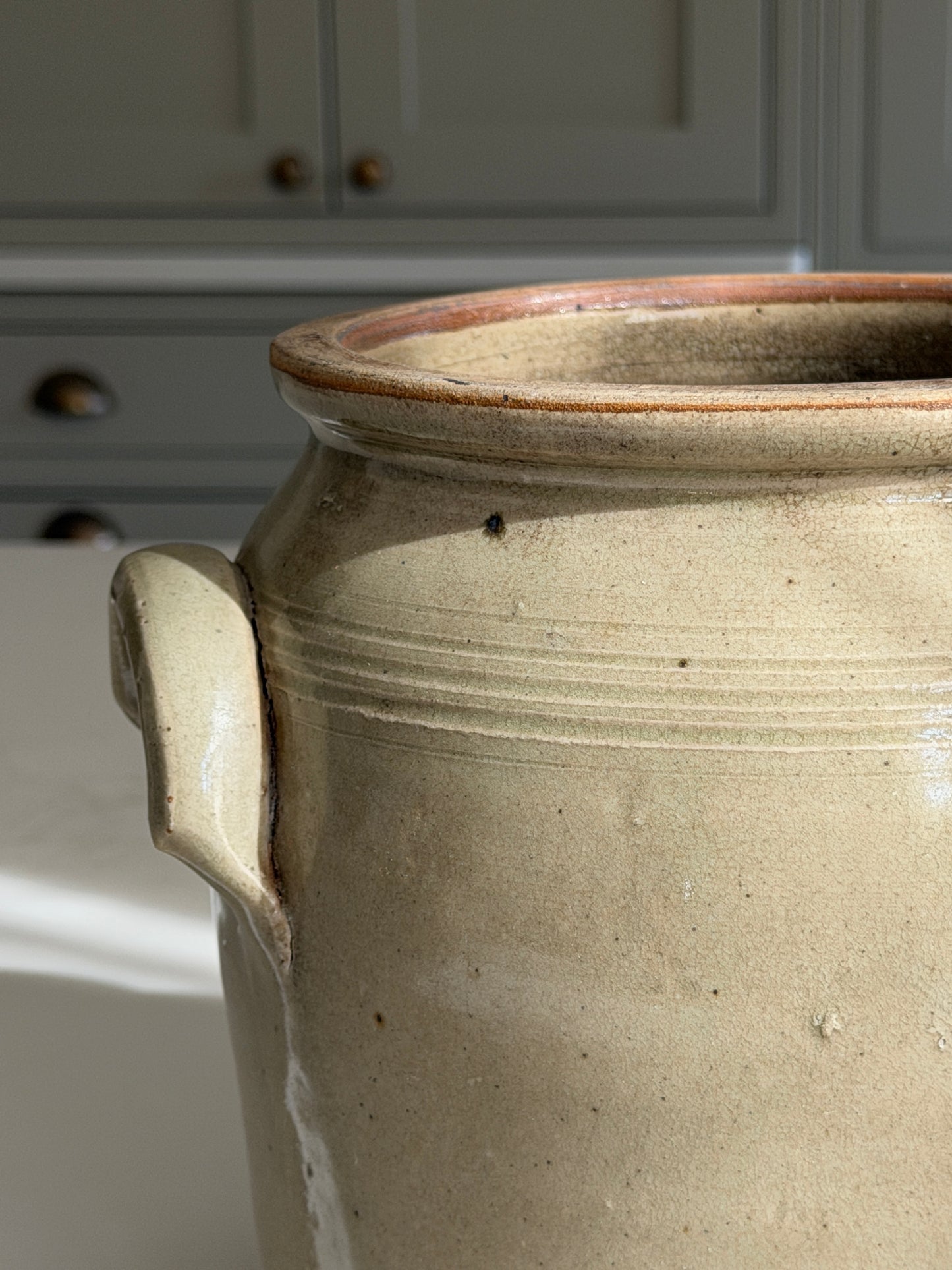 Greeny Grey French Confit Pot