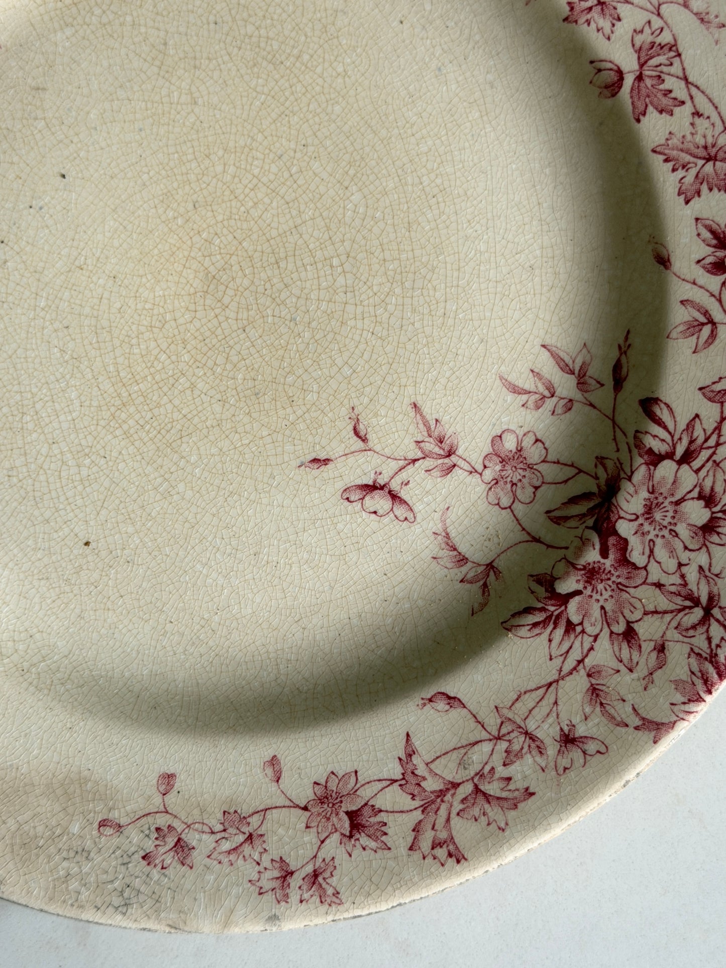 English Dusky Pink Floral Plate