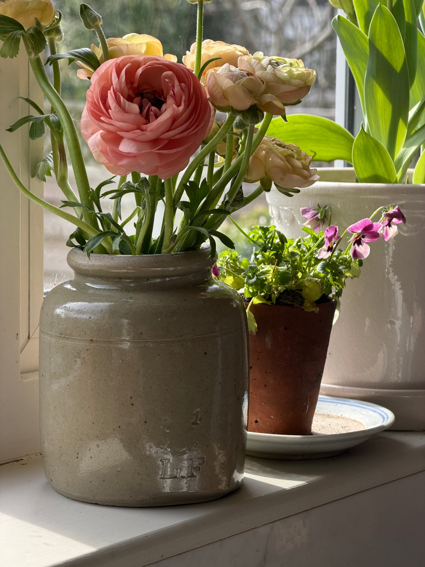 Medium Mustard Pot - Greeny-Grey