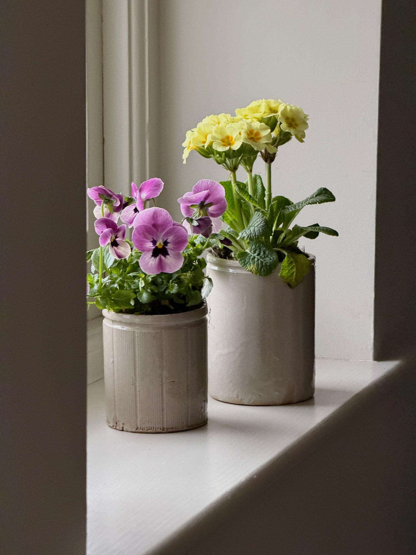 Grey Ribbed Marmalade Stoneware Pot