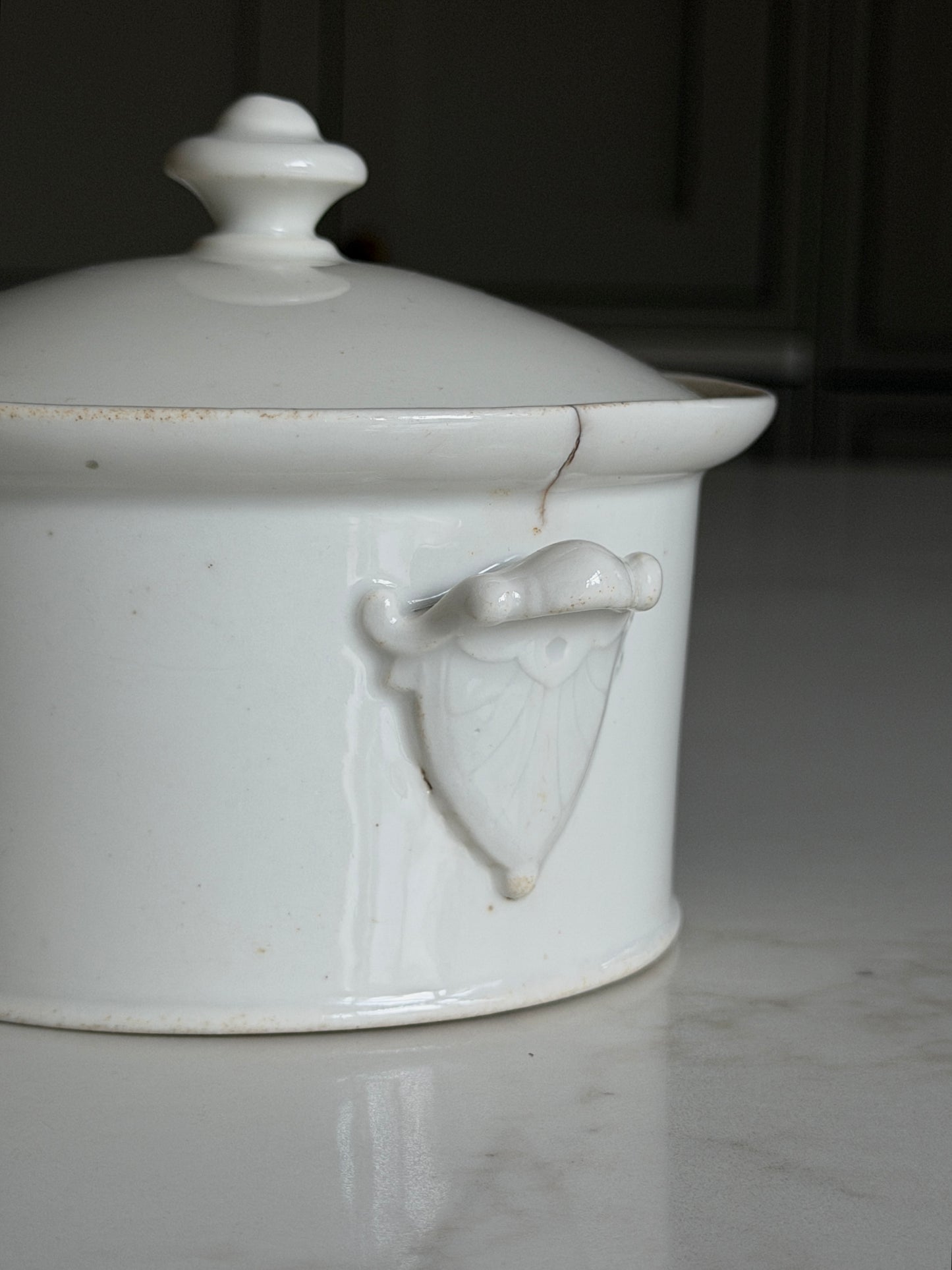 French Porcelain Lidded Tureen