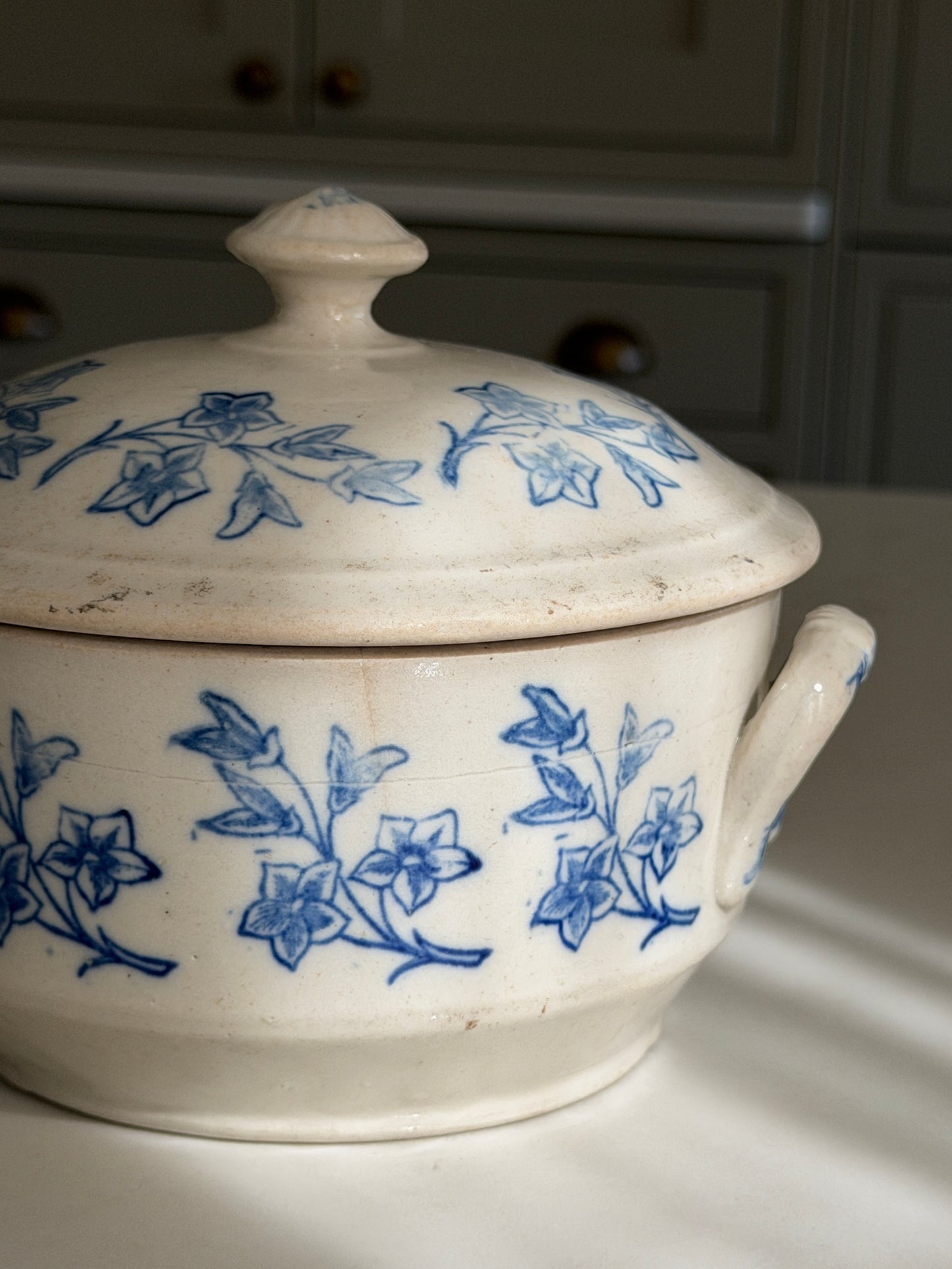 Blue & White Floral French Terrine