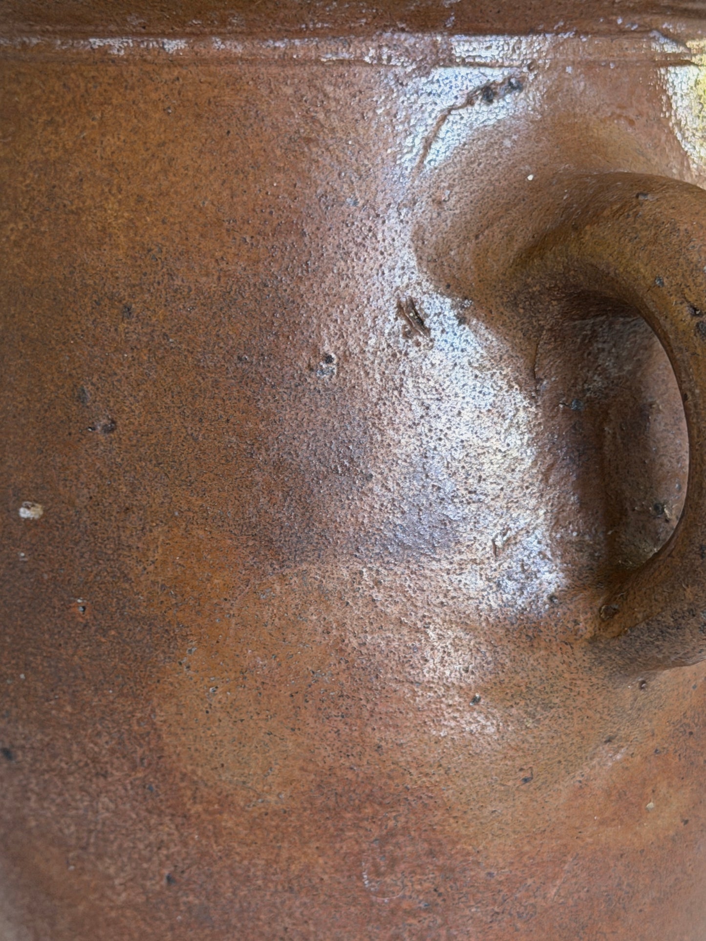 Dark Brown Loop Ear Confit