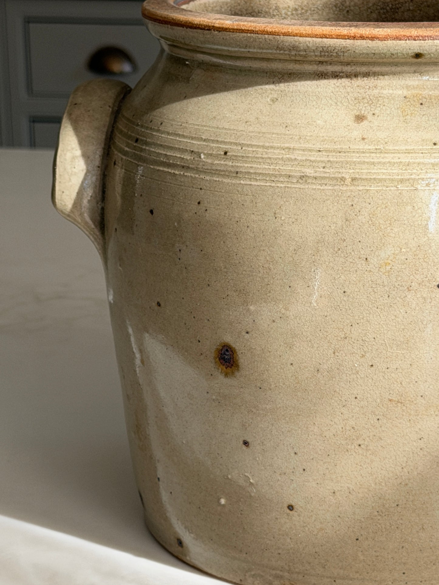 Greeny Grey French Confit Pot