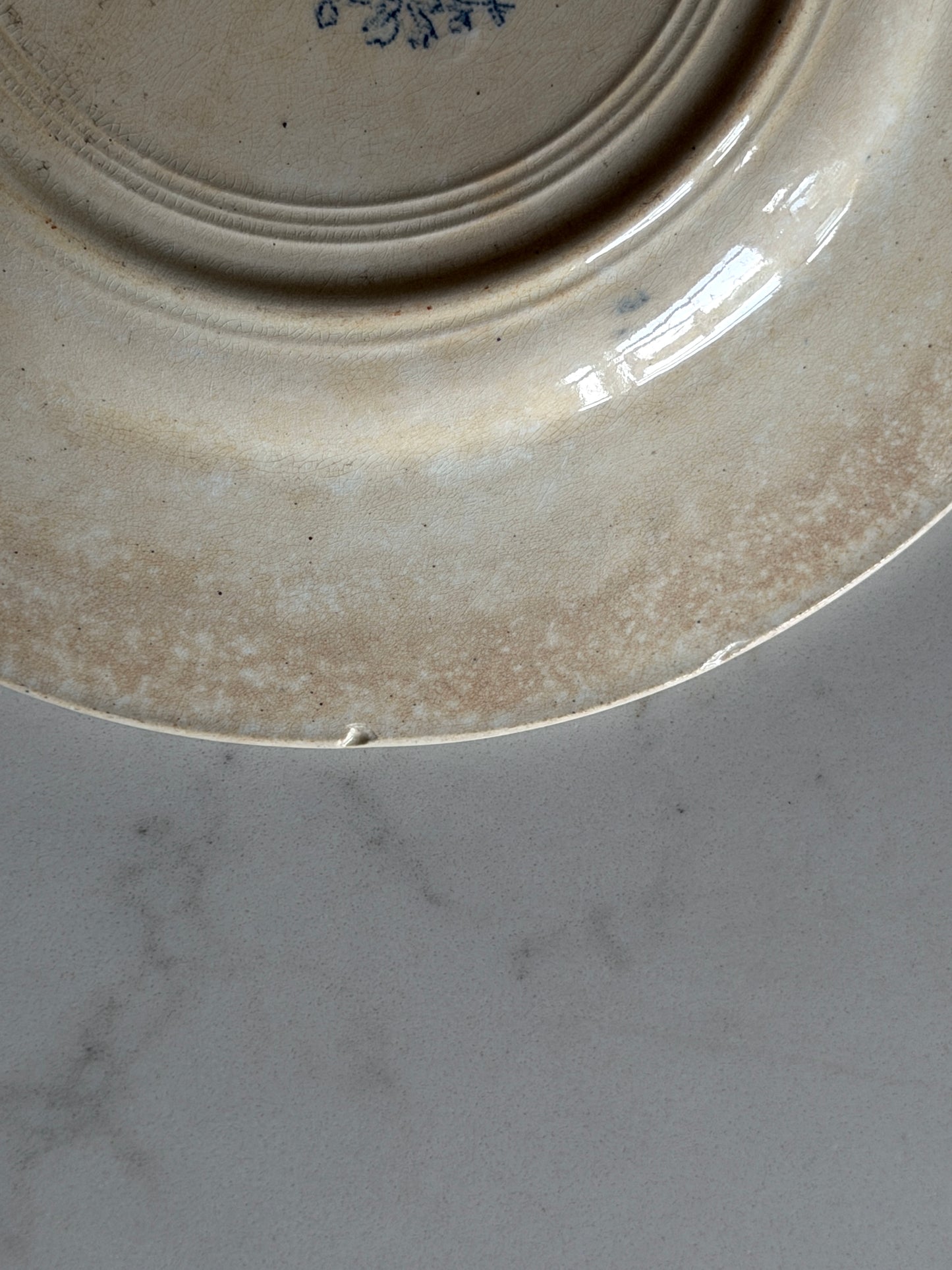 French Blue and White Vine Plate
