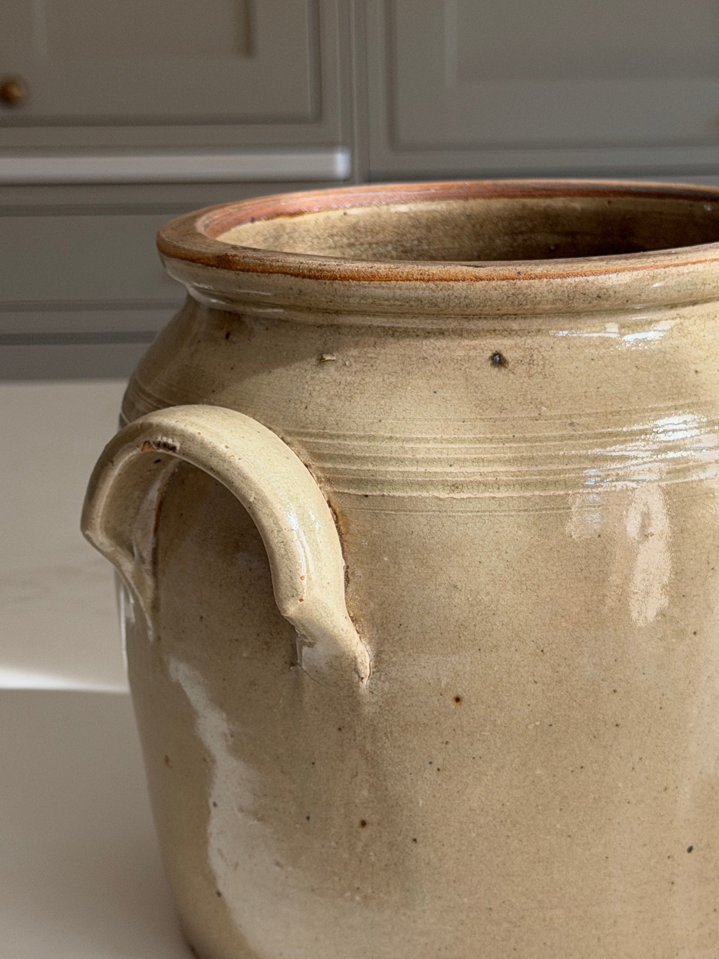 Greeny Grey French Confit Pot