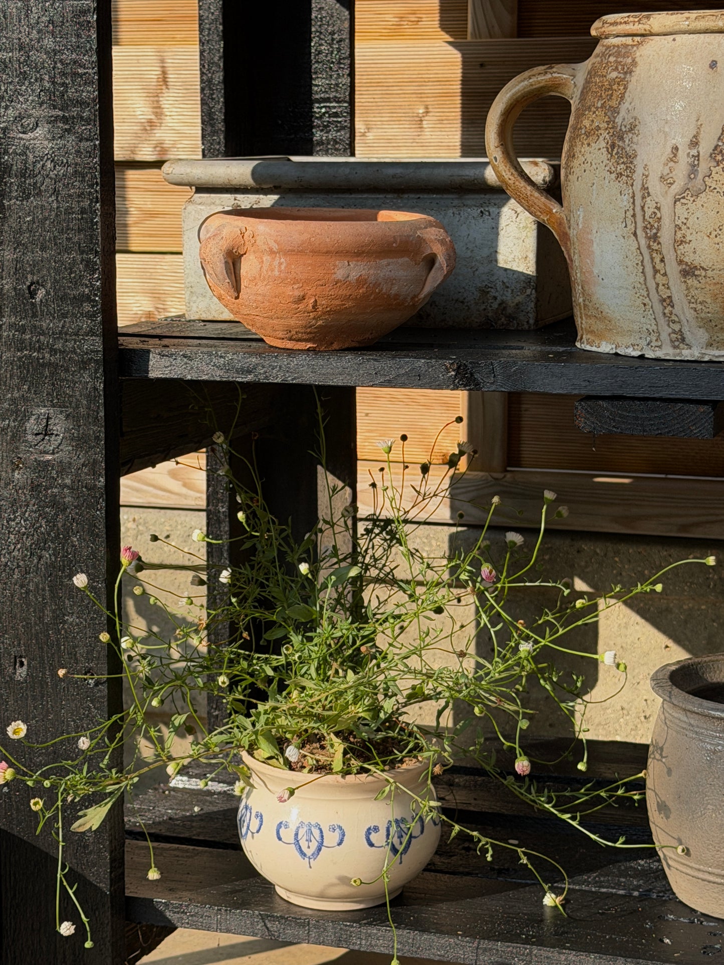 Aged French Terracotta Planter
