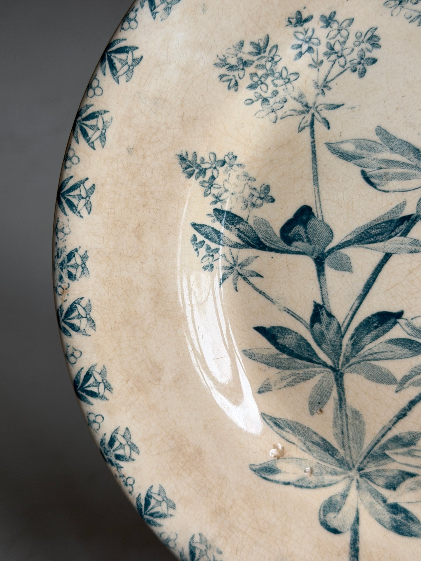 French Plate with Turquoise Botanical & Butterfly Design