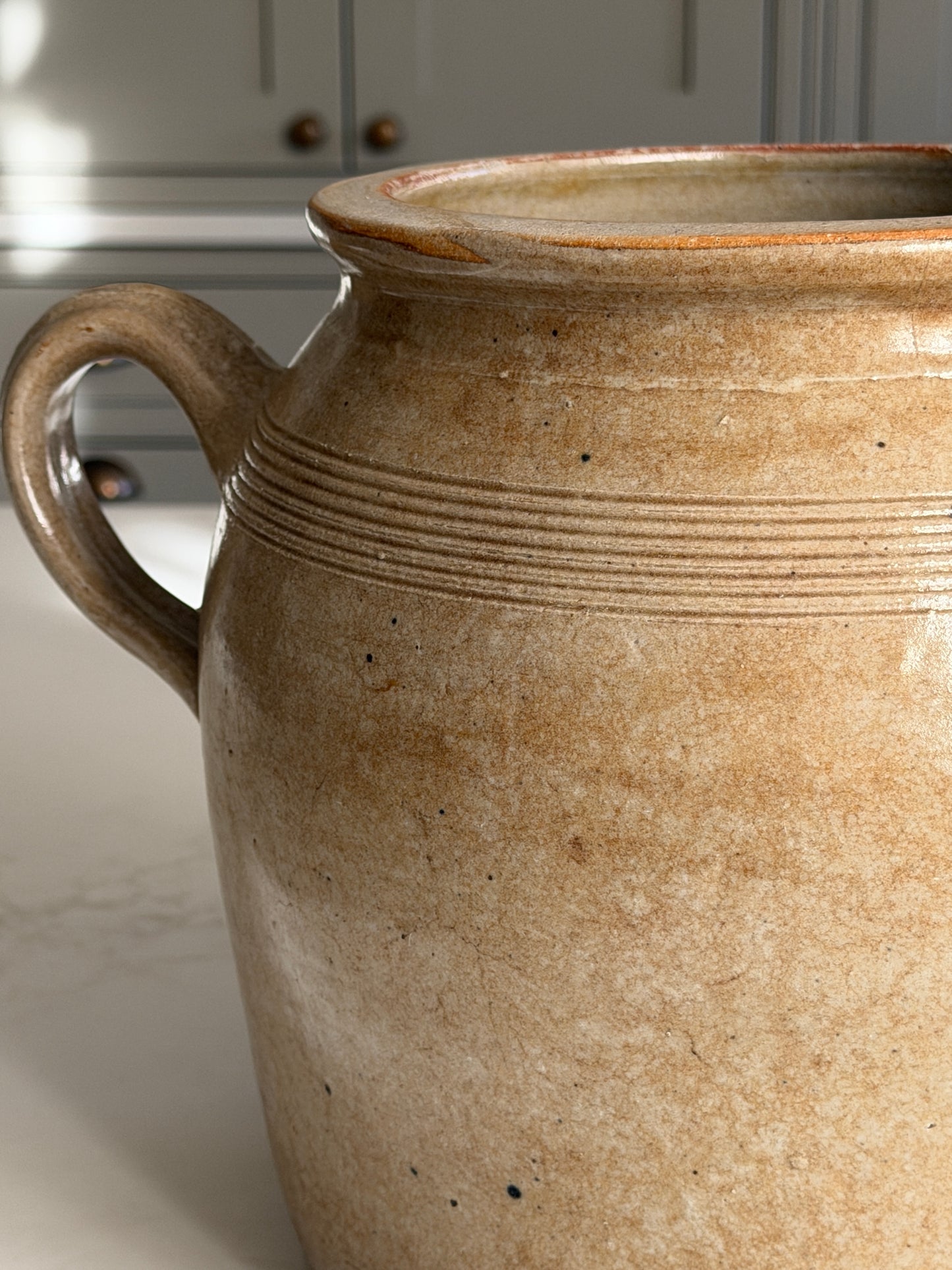 XL French Caramel Mottled Loop ear confit