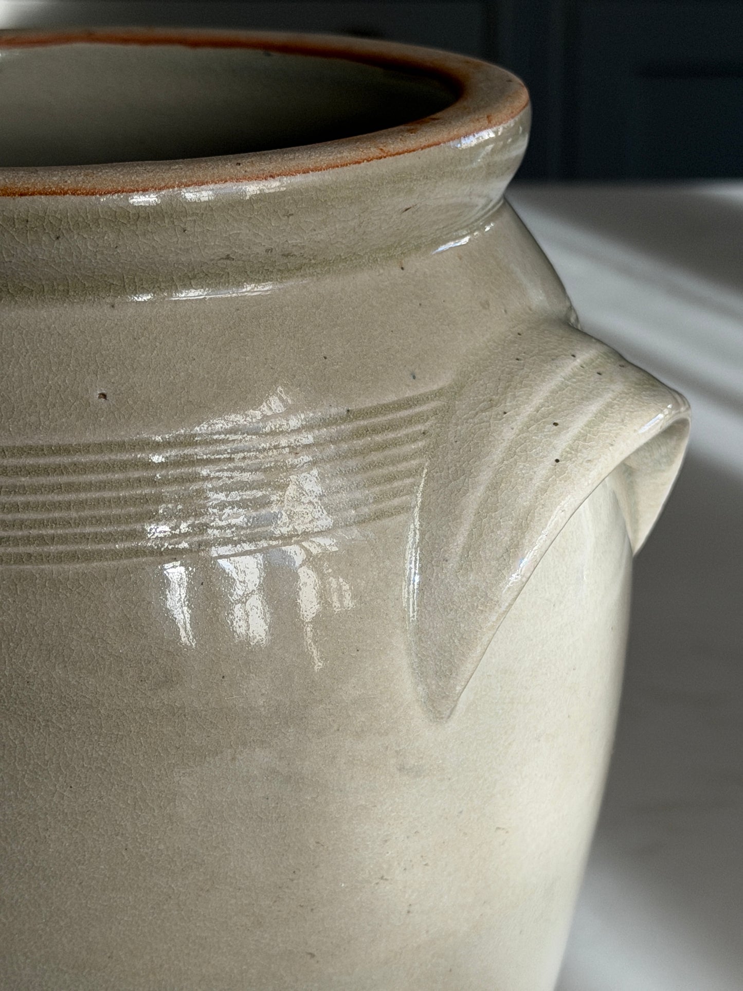 Green-Grey French Confit Pot