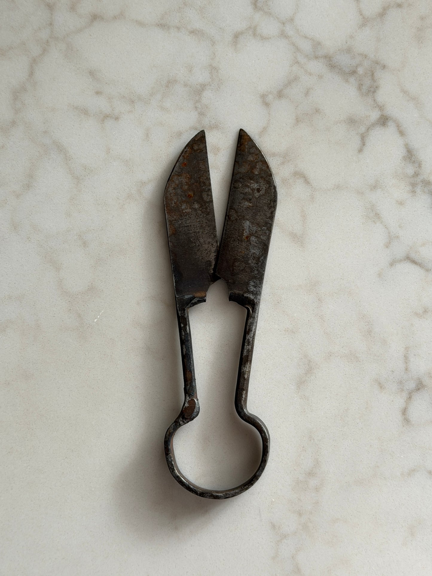 Antique Steel Shears