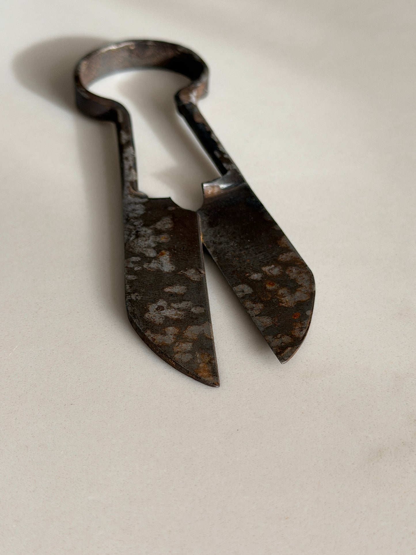 Antique Steel Shears