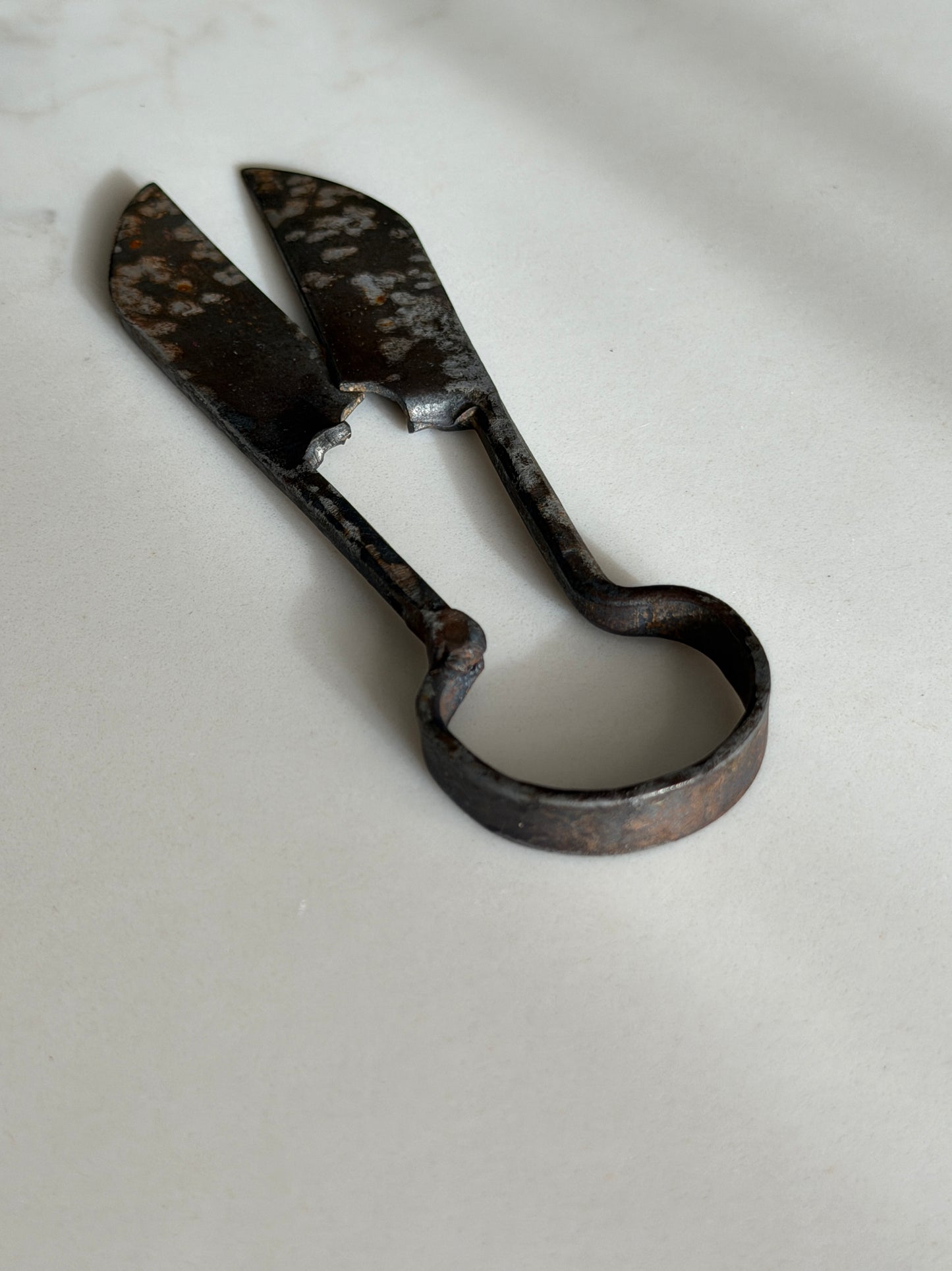 Antique Steel Shears
