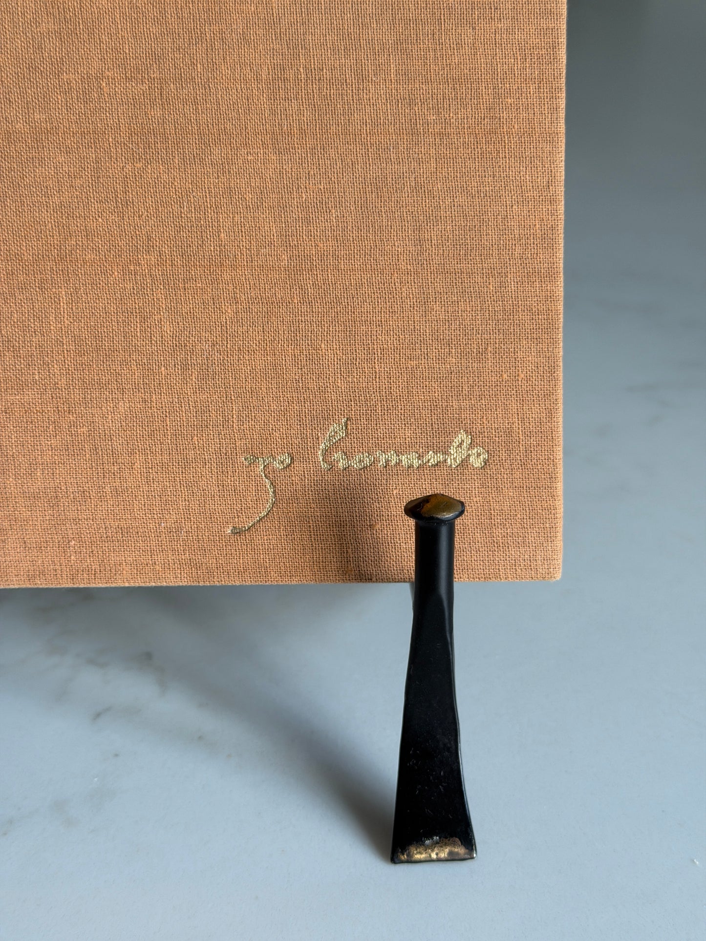 Leonardo The Artist Book