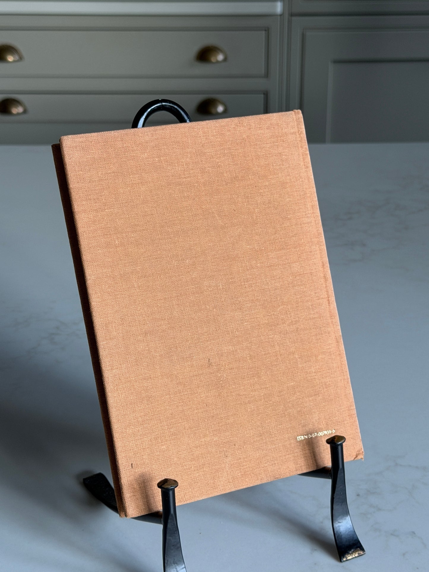 Leonardo The Artist Book